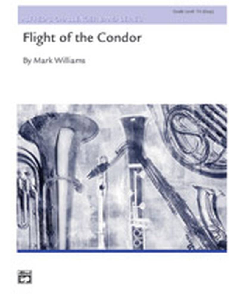 Flight of the Condor